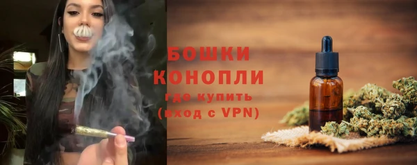 ГАЛЛЮЦИНОГЕННЫЕ ГРИБЫ Баксан