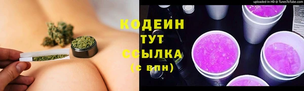 ГАЛЛЮЦИНОГЕННЫЕ ГРИБЫ Баксан