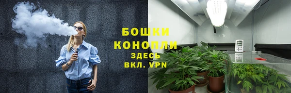 ГАЛЛЮЦИНОГЕННЫЕ ГРИБЫ Баксан
