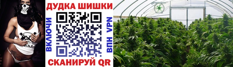 купить наркоту  Горняк  Каннабис SATIVA & INDICA 